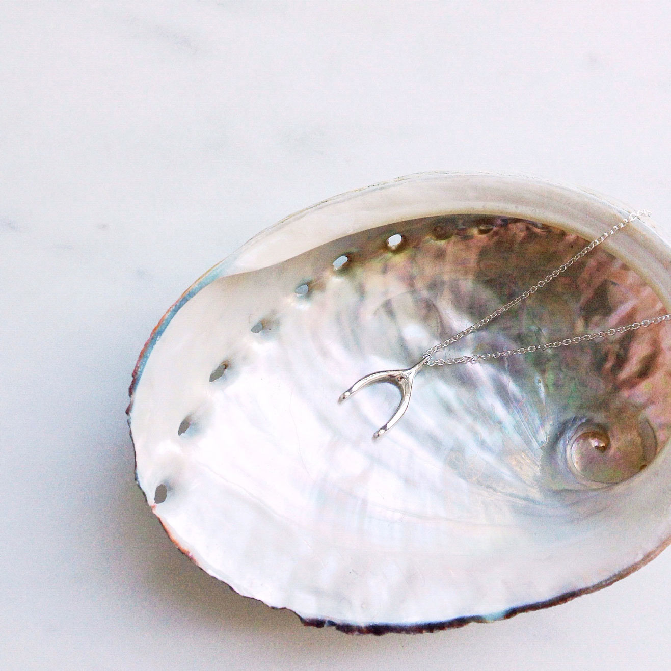 A dainty sterling silver wishbone necklace with a fine silver chain rests in an abalone shell